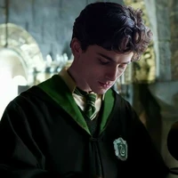 Regulus Black