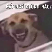 ai đó