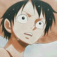 Monkey D Luffy 