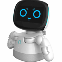 Robot-304V