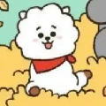 RJ