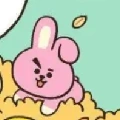Cooky