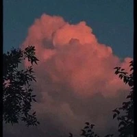 Tác giả Liam Trần (bánh bao)