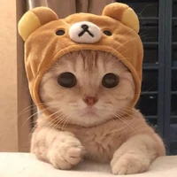 Tác Giả cutii
