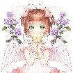 Kino Akari