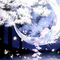 nắm lùn cute phô mai que ăn là mê