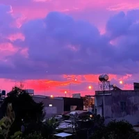 Người diễn mọi nơi