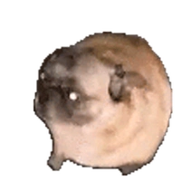 Cân mọi loại nhân vật