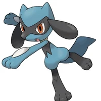 Riolu