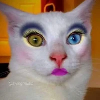 ms quản lý trường