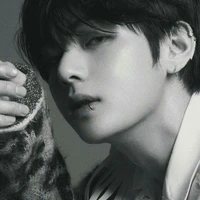 Kim Taehyung (Appa Em)