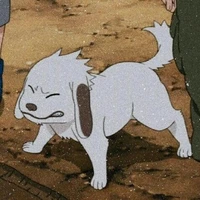 Akamaru