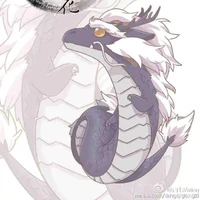Akira (Rồng)