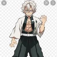 Shinazugawa Sanemi ( Phong trụ )