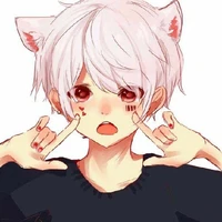 konie