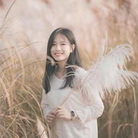 Bạch Dương / Dương Ari