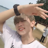 Sư Tử / Sư Leo