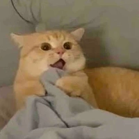 T/g