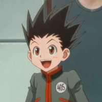 Gon Freecss