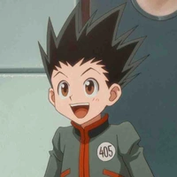 Gon Freecss