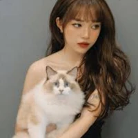 Linh Ngọc Đàm