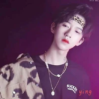 Hạ Tuấn Lâm