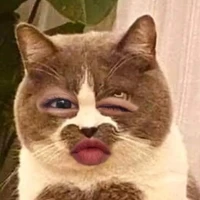 Ủa? Tui nè chời :v 🌈