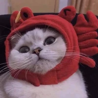 tác giả