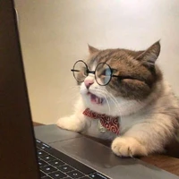 mọi người...