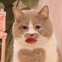 Yang chưa 15 (￣ヘ￣;)