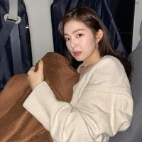 Bae Joohyun ( Irene )