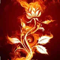 Lana ( hệ thống )