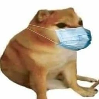 Đường Nhi