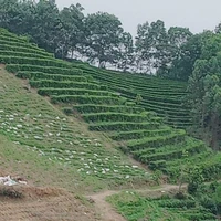pà tác giả kute