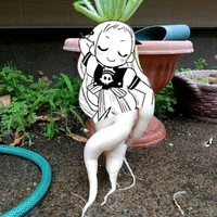 T/g