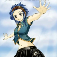 levy