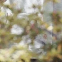 Huấn luyện viên