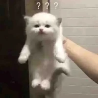 All