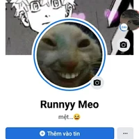 cân mọi vai