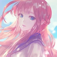 Shiba Hikari