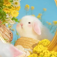 Meii xinh nhất trần đời