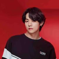 Kim Taehyung ( Ny SeokJin )