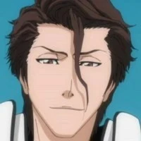 aizen 1-F