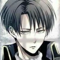 levi 1-F