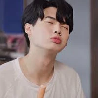 win metawin