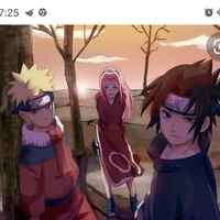 Team 7
