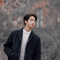 Jeon Seokjin- papa y, JK