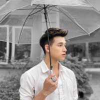 Hoàng Anh