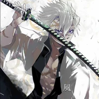 Shinazugawa sanemi(phong trụ)