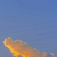 Nhân vật phụ